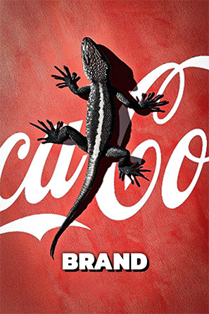 Brand video